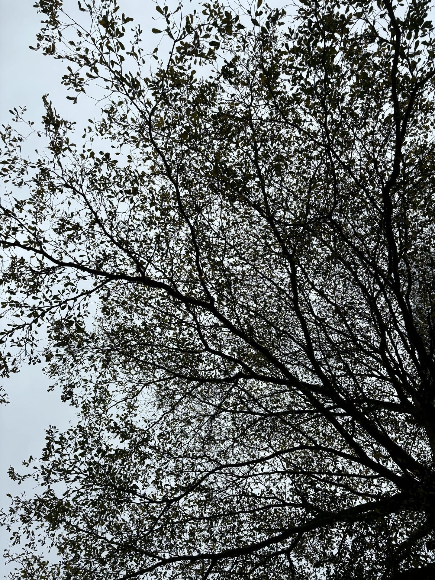 悬崖边，你捡起碎片，拼成，我。