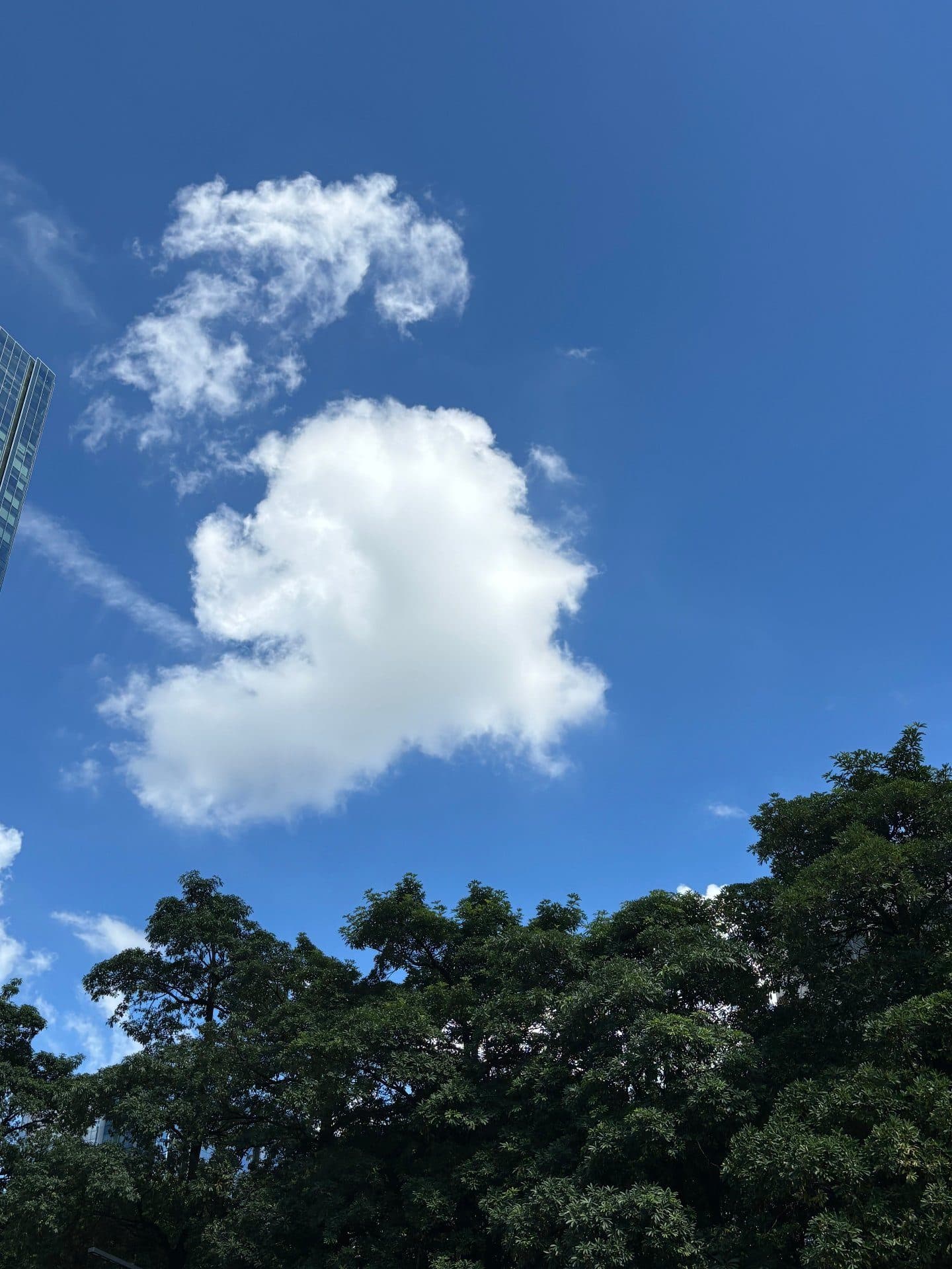 微笑，空中，拥抱。
